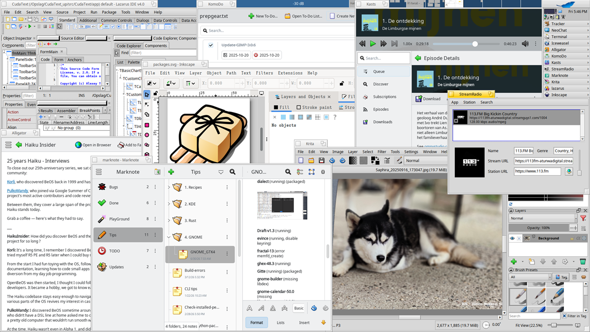 HAIKU ports